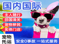 敦煌航空空运国际宠物托运 【国